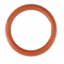 Уплотнительное кольцо FPM, 18