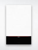 Viessmann Vitodens 100-W Z020621